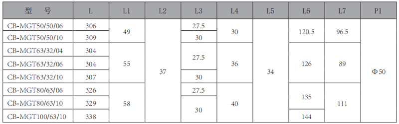 CB-MGT-三雙聯(lián)齒輪泵-型號(hào)1.jpg